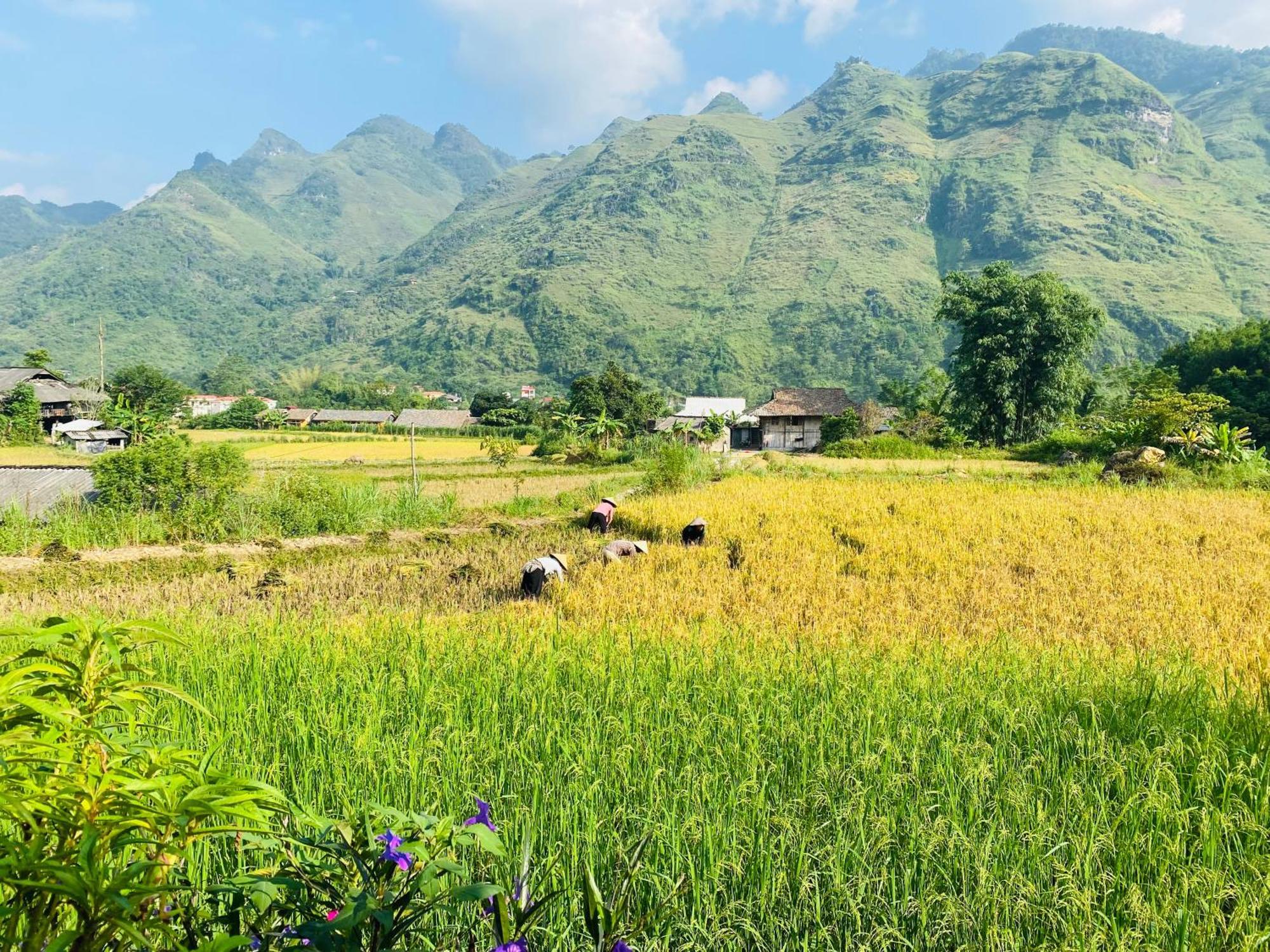 Du Gia Field View Homestay Làng Cac Kültér fotó