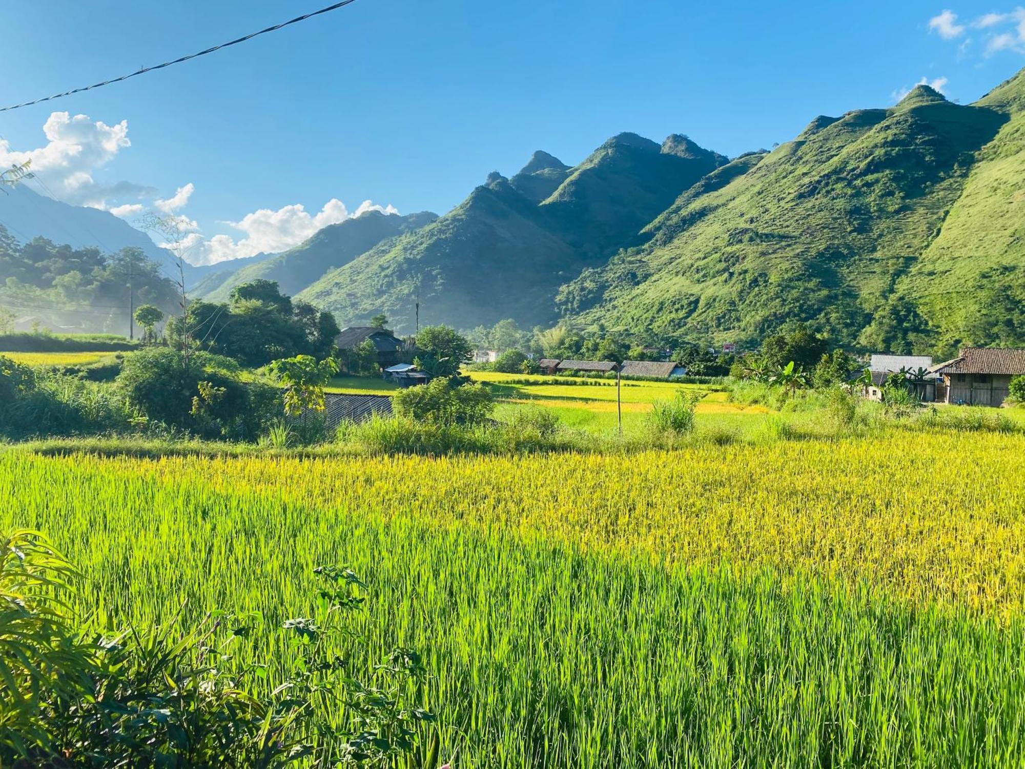 Du Gia Field View Homestay Làng Cac Kültér fotó