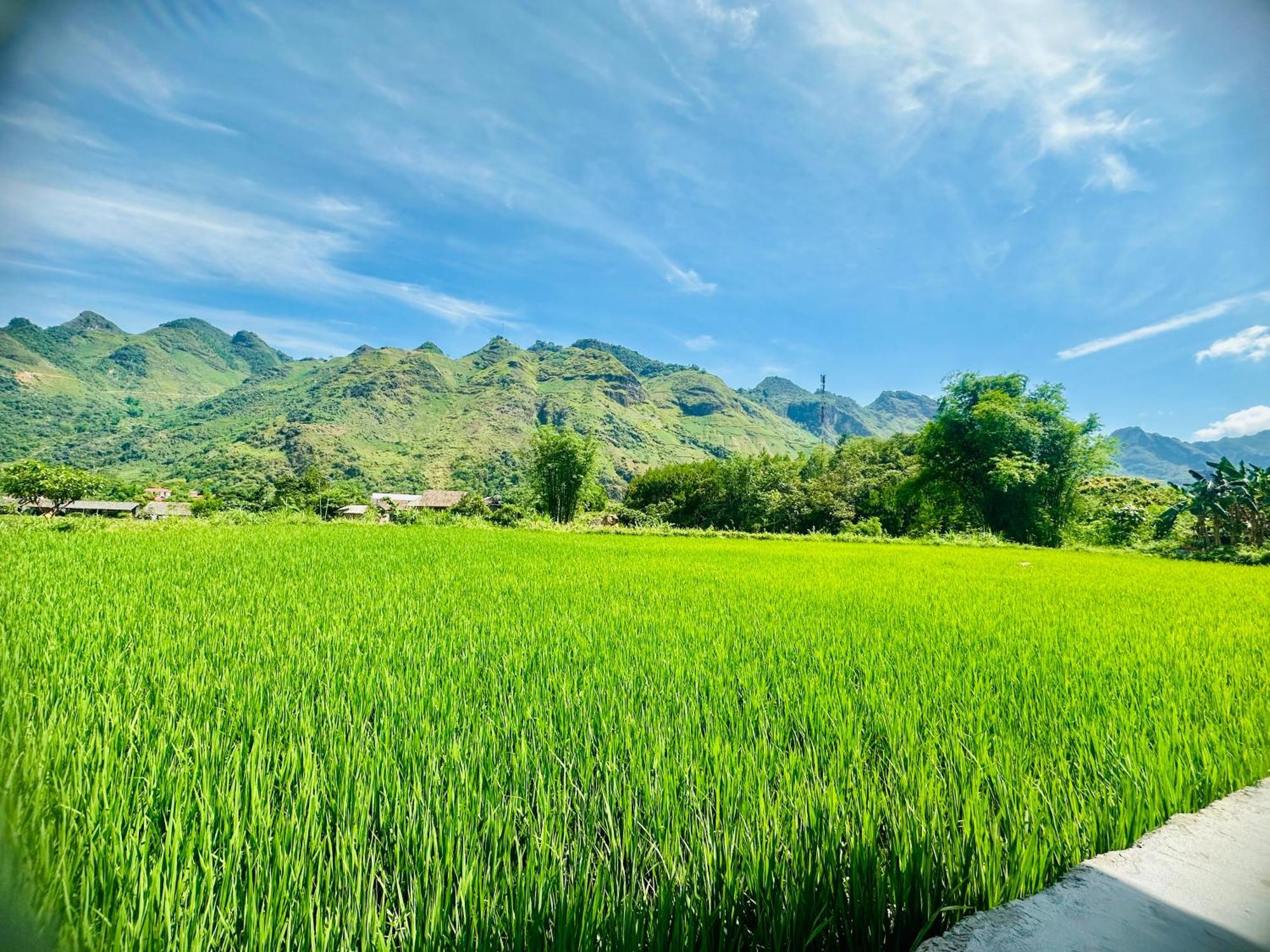 Du Gia Field View Homestay Làng Cac Kültér fotó